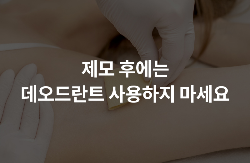 다음글