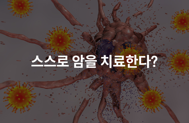 알쓸_면역항암제(1080087).jpg^|^알쓸_면역항암제(1080087)_660x405.jpg^|^알쓸_면역항암제(1080087)-카카오공유.jpg