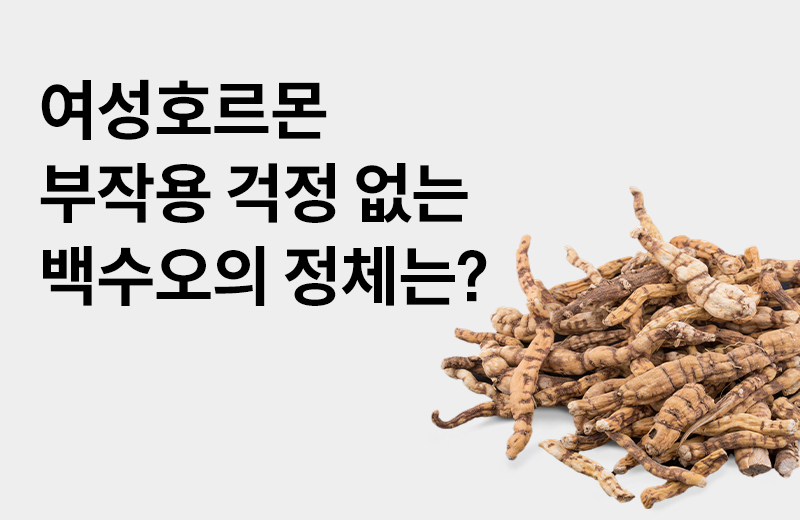 이전글