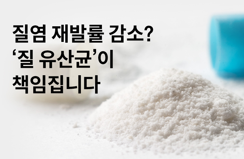 논읽약_리스펙타(1017619).jpg