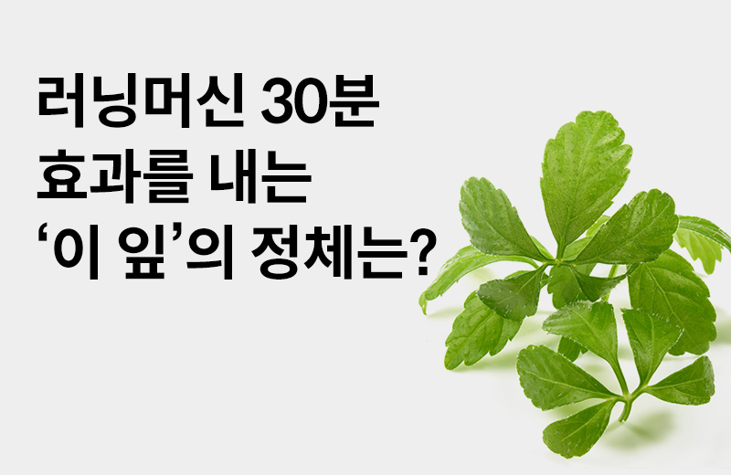 논읽약_돌외잎(1060563).jpg