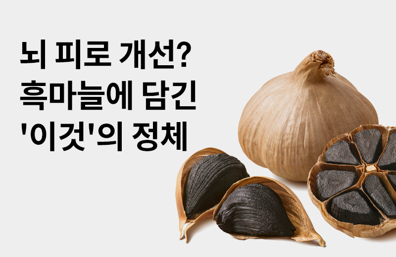 논읽약_SAC(1047016).jpg