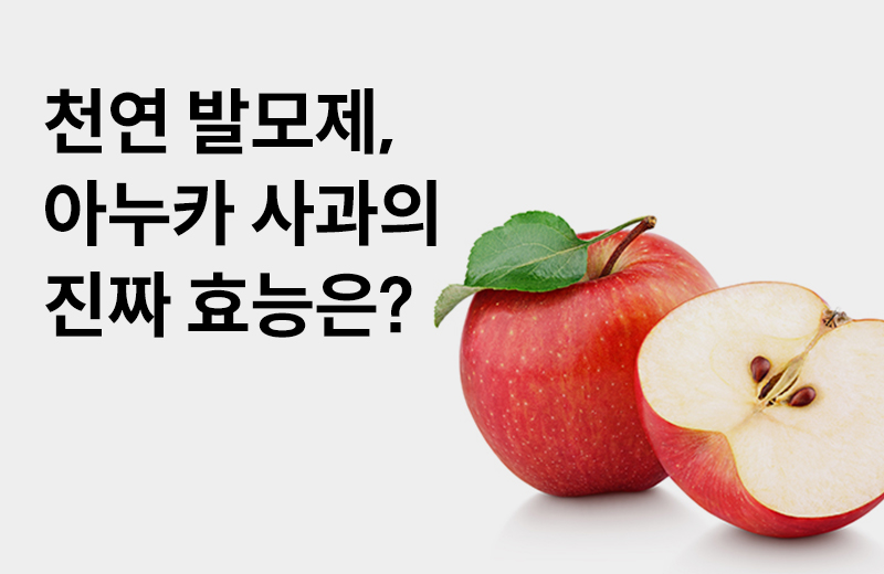 논읽약_아누카사과(1061631).jpg