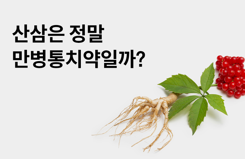 논읽약_산삼(1077848).jpg