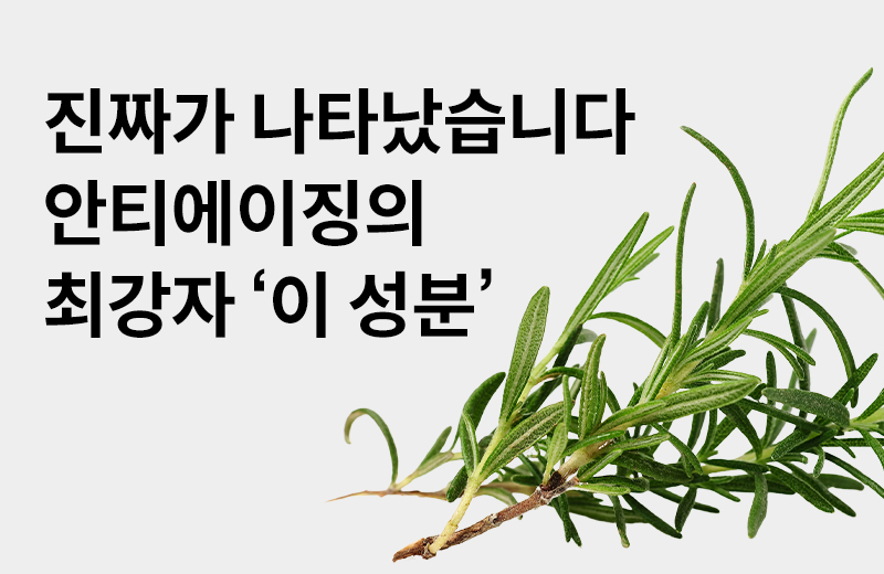 논읽약_로즈마리추출물(1011513).jpg