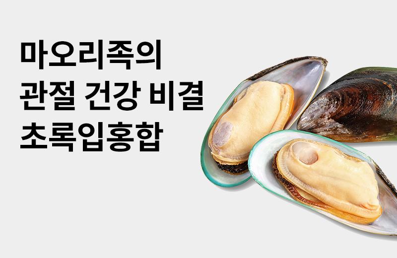 이전글