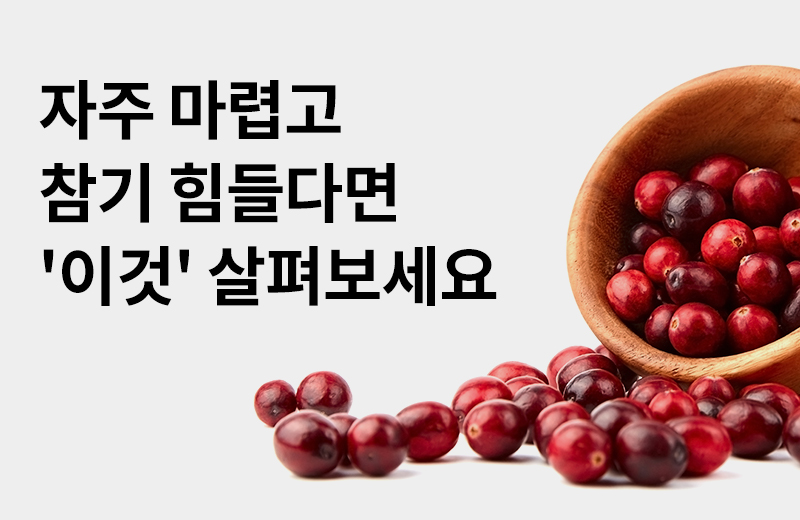 다음글