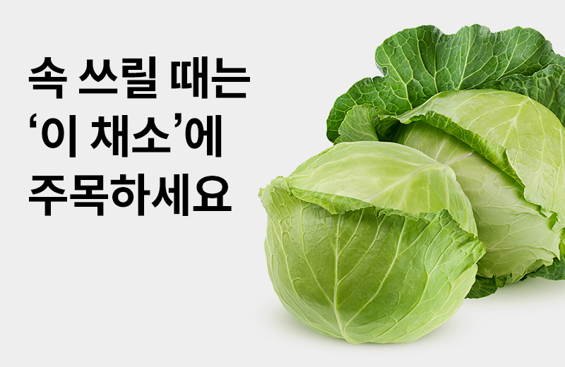 논읽약_양배추(1002882).jpg
