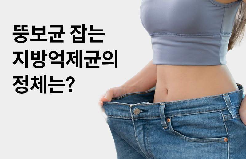 논읽약_다이어트유산균(1049003).jpg