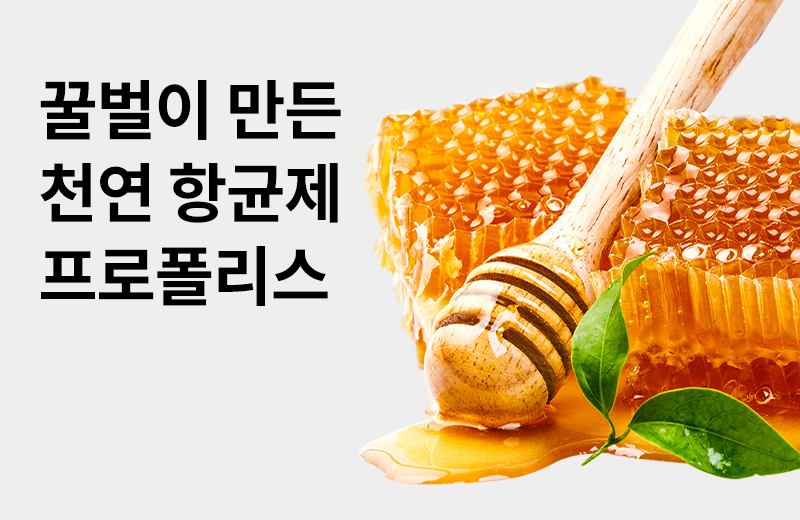 논읽약_프로폴리스(1004627).jpg