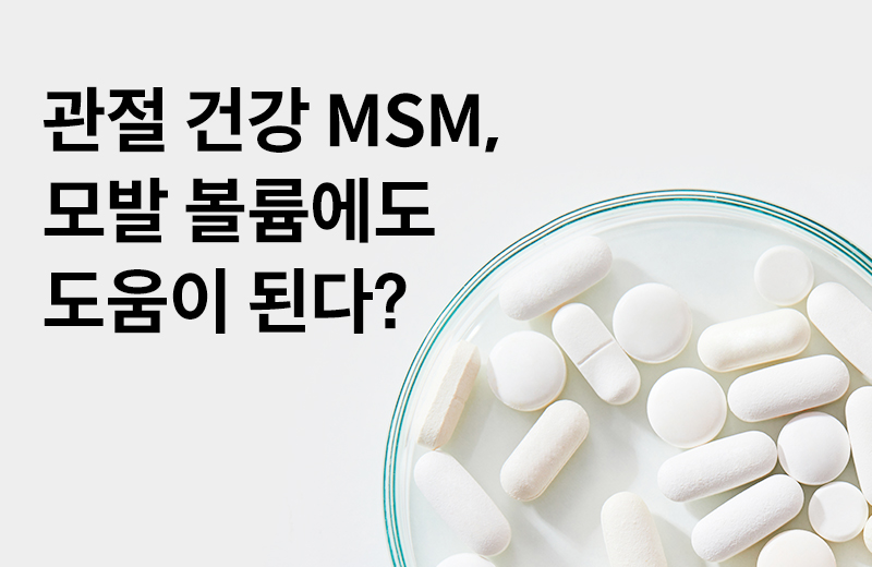 논읽약_MSM(1002277).jpg