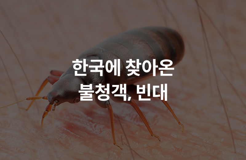 이전글