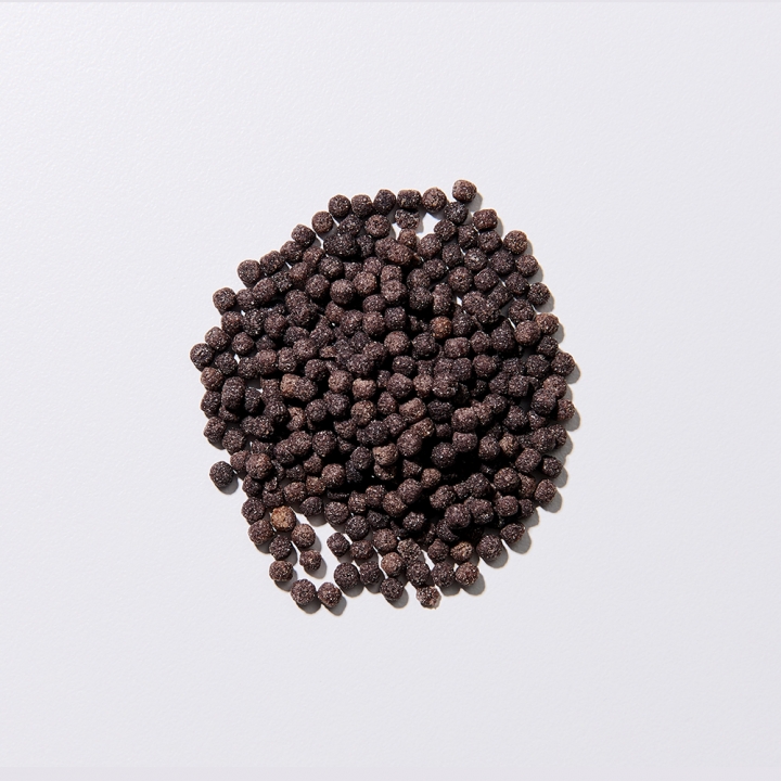 [오늘만1+1] 쾌변의 비결 차전자피 식이섬유 플러스