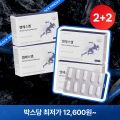 ★블프2+2★ 관절&연골건강 엠에스엠 MSM 4박스