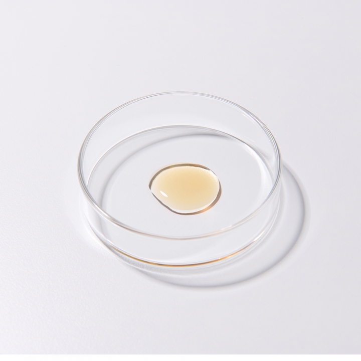 [특가] 액상 알부민 실크 알부민 골드 12박스 [+ 온가족세트 사은품]