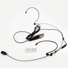 HD600D(NO:637)