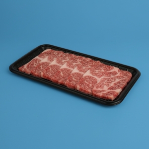 정육용기 사각트레이-10S