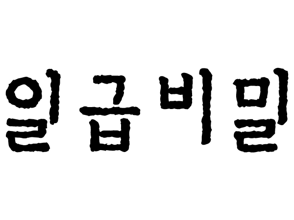 DX일급비밀