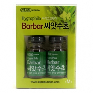 이스타 Barbar(바바) 씨앗수초 (M) 2개입