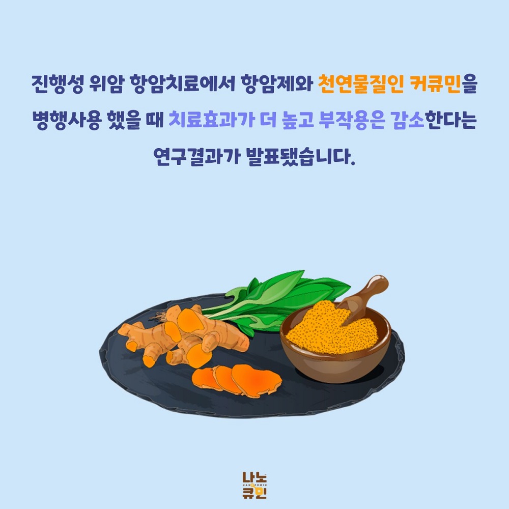 02_강황 항암 효능.JPG