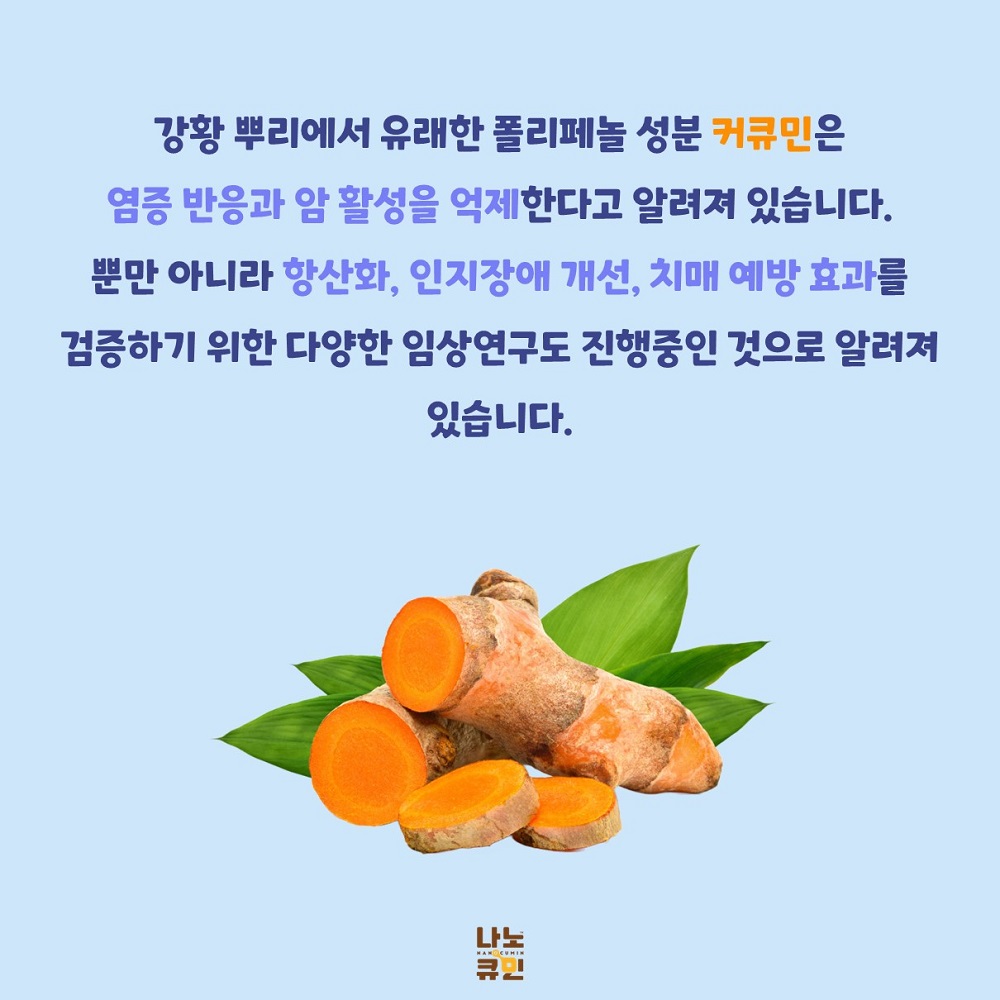 07_강황 커큐민의 효능.JPG