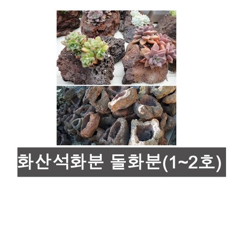 화산석화분  돌화분 다육 석부작 1호~5호