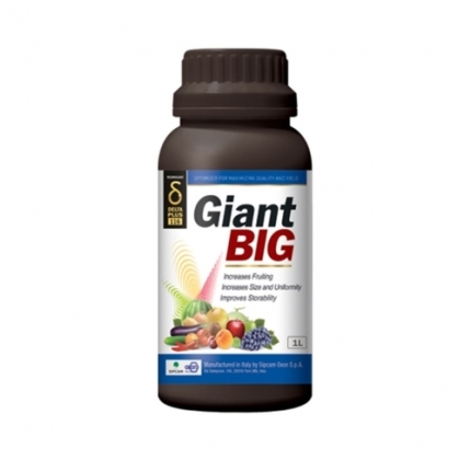 대유 자이언트빅 1L - 과실비대 관리의 명작