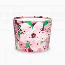 (에어홀더)10/13-뉴블라썸 500개/1박스