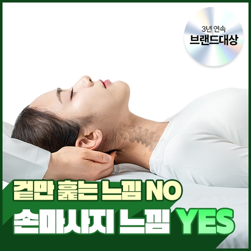마사지의 정석 (CST스탠다드+나스라)