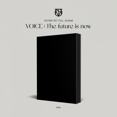 빅톤 (VICTON) - 정규 1집 VOICE : The future is now 3종 中 1종 랜덤