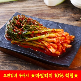 [담짜몰/고원김치/본사직송] 고원김치 국내산 파김치 (2kg/3kg/5kg)