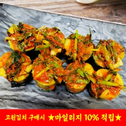 [담짜몰/고원김치/본사직송] 고원김치 국내산 오이소박이 오이김치 (2kg/3kg/5kg)