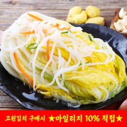 [담짜몰/고원김치/본사직송] 고원김치 국내산 백김치 (2kg/3kg/5kg)