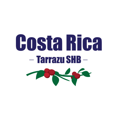 [입고 예정] 코스타리카 따라주 파스토라 SHB