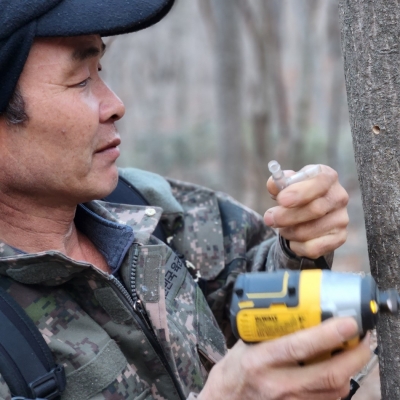 지리산사람들 고로쇠 수액 고로쇠물 500ml 10병