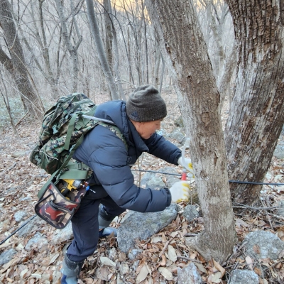 지리산사람들 고로쇠 수액 고로쇠물 500ml 10병