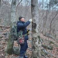 지리산사람들 고로쇠 수액 고로쇠물 350ml 10병