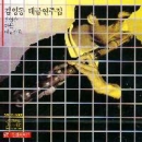 김영동  (Kim Young Dong) - 대금 연주집
