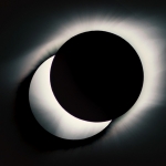 Bewhy, Viann, Khundi Panda, Son Simba, UNE, CHOILB - Dingo X Dejavu Group ‘Wrote This Tomorrow’