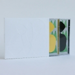 백현진 - 서울식