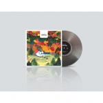 권진아 - Anthology Kwon Jin-Ah  [12&rdquo; 45RPM 고음질 바이닐][투명 블랙 컬러반]