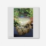 혁오 (HYUKOH) 5집 - ﻿﻿사랑으로 ﻿[Vinyl]