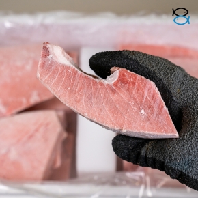 눈다랑어 뱃살(대) 5kg/10kg