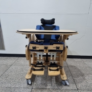 달마시안(Size 2)