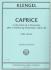 Caprice in the Form of a Chaconne after a Theme by Schumann, Opus 43 (ENYEART, Carter)