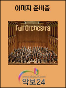 Beethoven : Symphony No. 7 (2nd Movement)