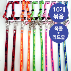 YEW_조로독 하네스 목줄세트 강아지 산책줄 투톤 10mm &times; 10개