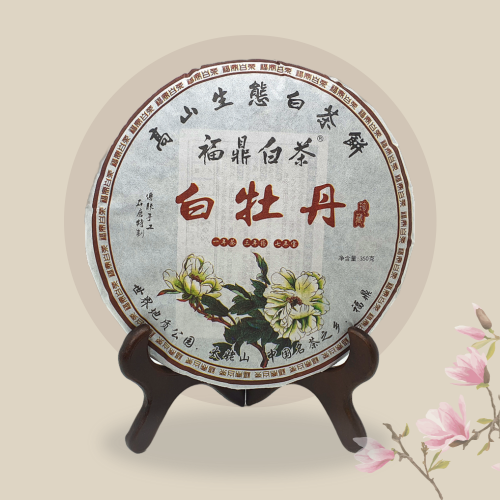 중국 복건성 복정 백차 2014년 백모단1 350g