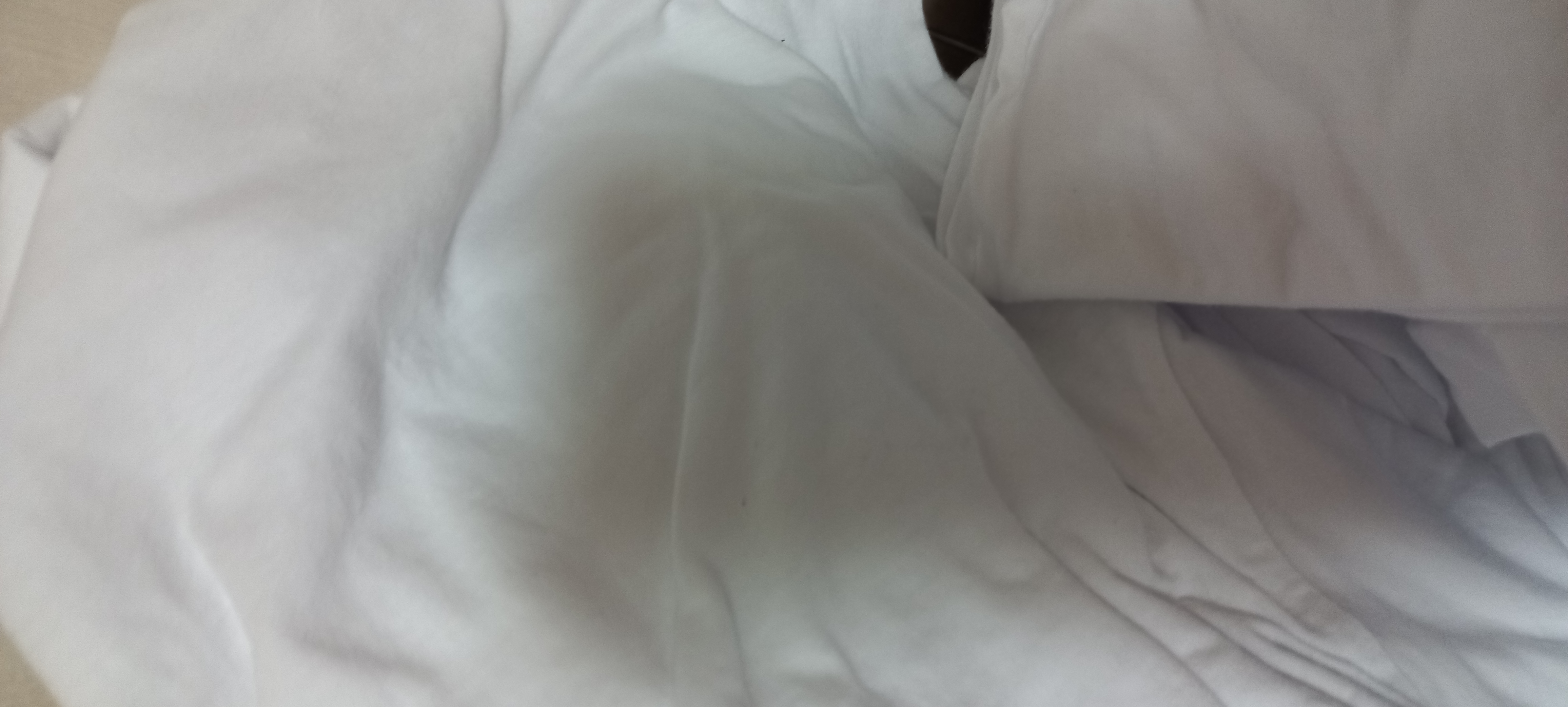 1721727329914.jpg