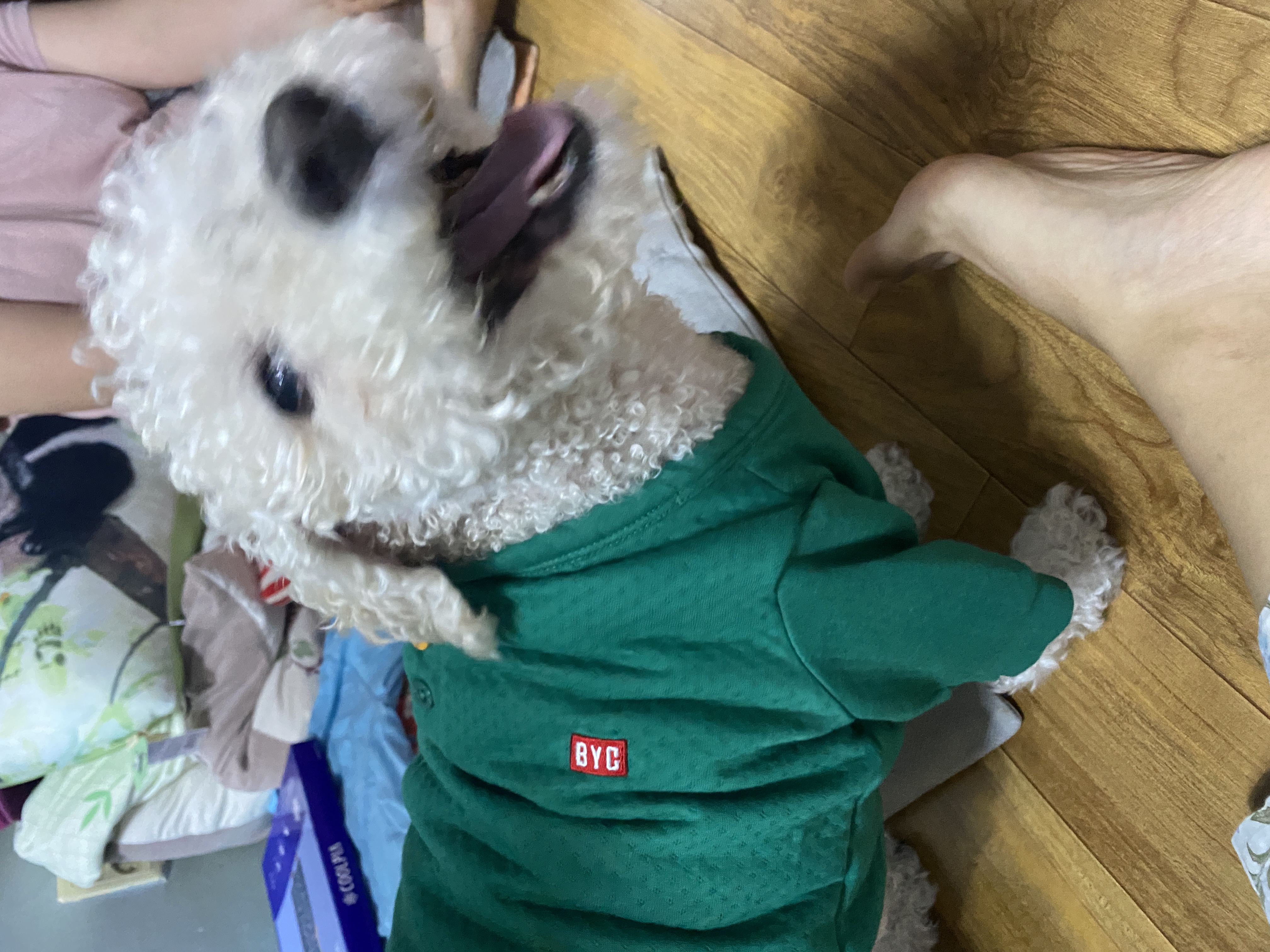 IMG_8362.jpeg